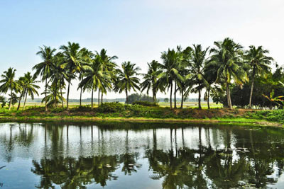Odisha Family Holidays Package with Cuttack Sightseeing, India