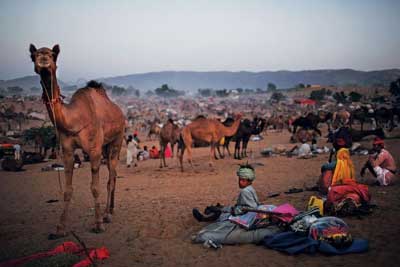 Pushkar Camel Fair Tour in Rajasthan with Golden Triangle, India