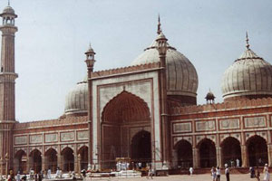 Mosques in delhi india