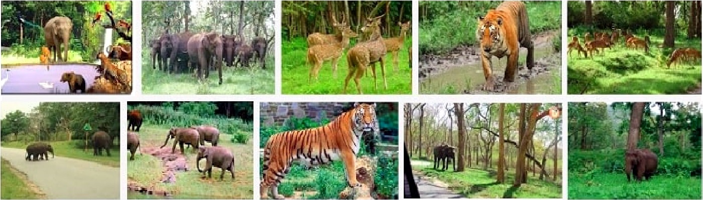Chandra Prabha Wildlife Sanctuary