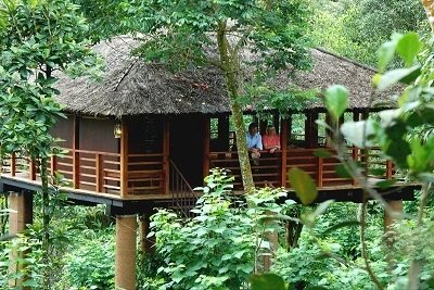 Kerala Honeymoon Package: Munnar, Thekkady, Alleppey - 5 Nights and 6 Days